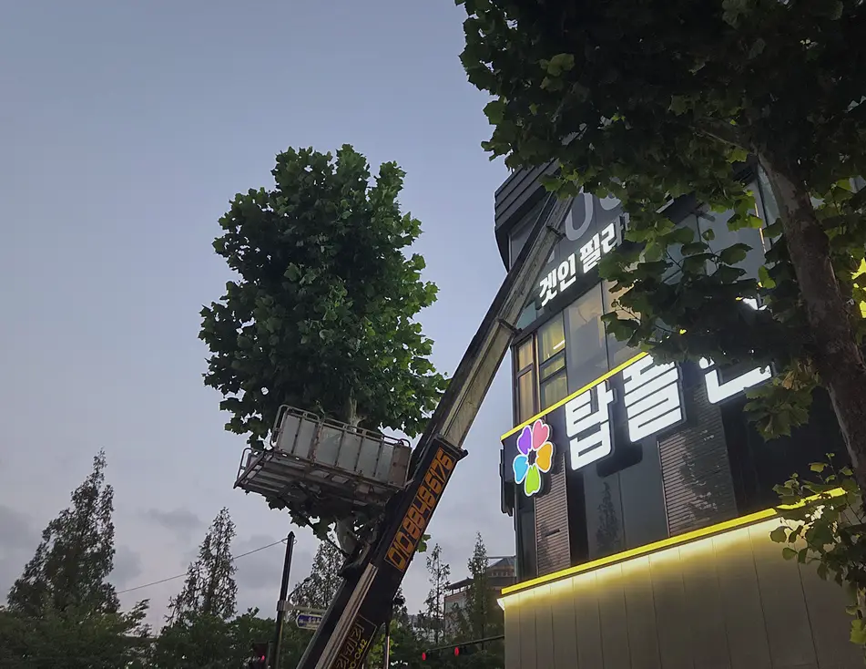 동작구 폐기물처리 기록 사진 3