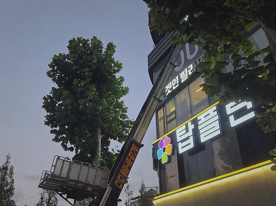 종로구 원룸 폐기물 방문수거 현장 사진 6